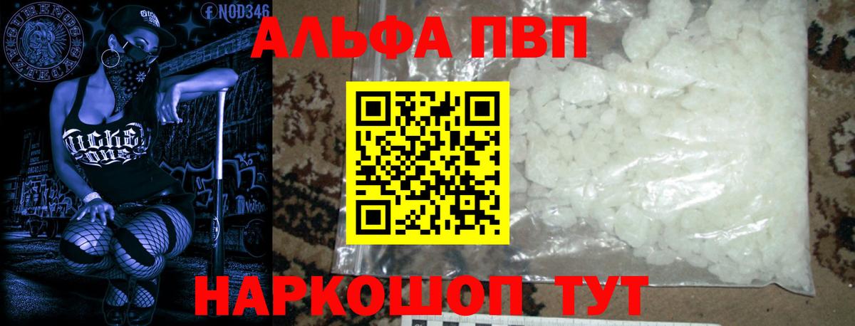 A PVP СК КРИС Киров