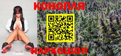 гидропоника Краснокаменск