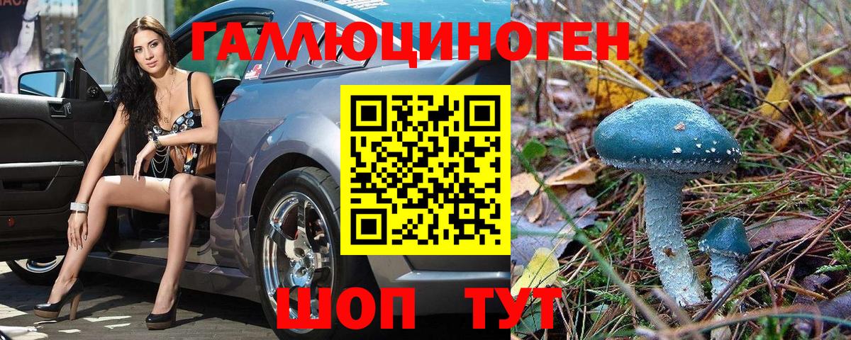 Псилоцибиновые грибы MAGIC MUSHROOMS Киров